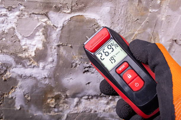 Best Toxic Mold Removal  in Northgate, OH