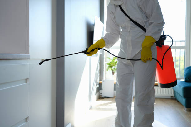Best Commercial Mold Removal  in Northgate, OH