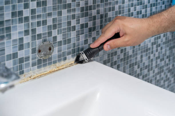 Mold Removal and Inspection in Northgate, OH